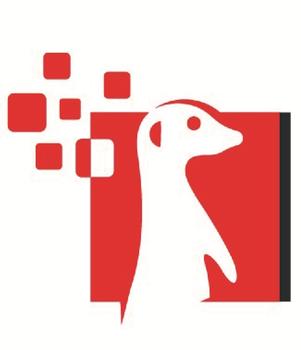 Meerkat Technologies Inc.